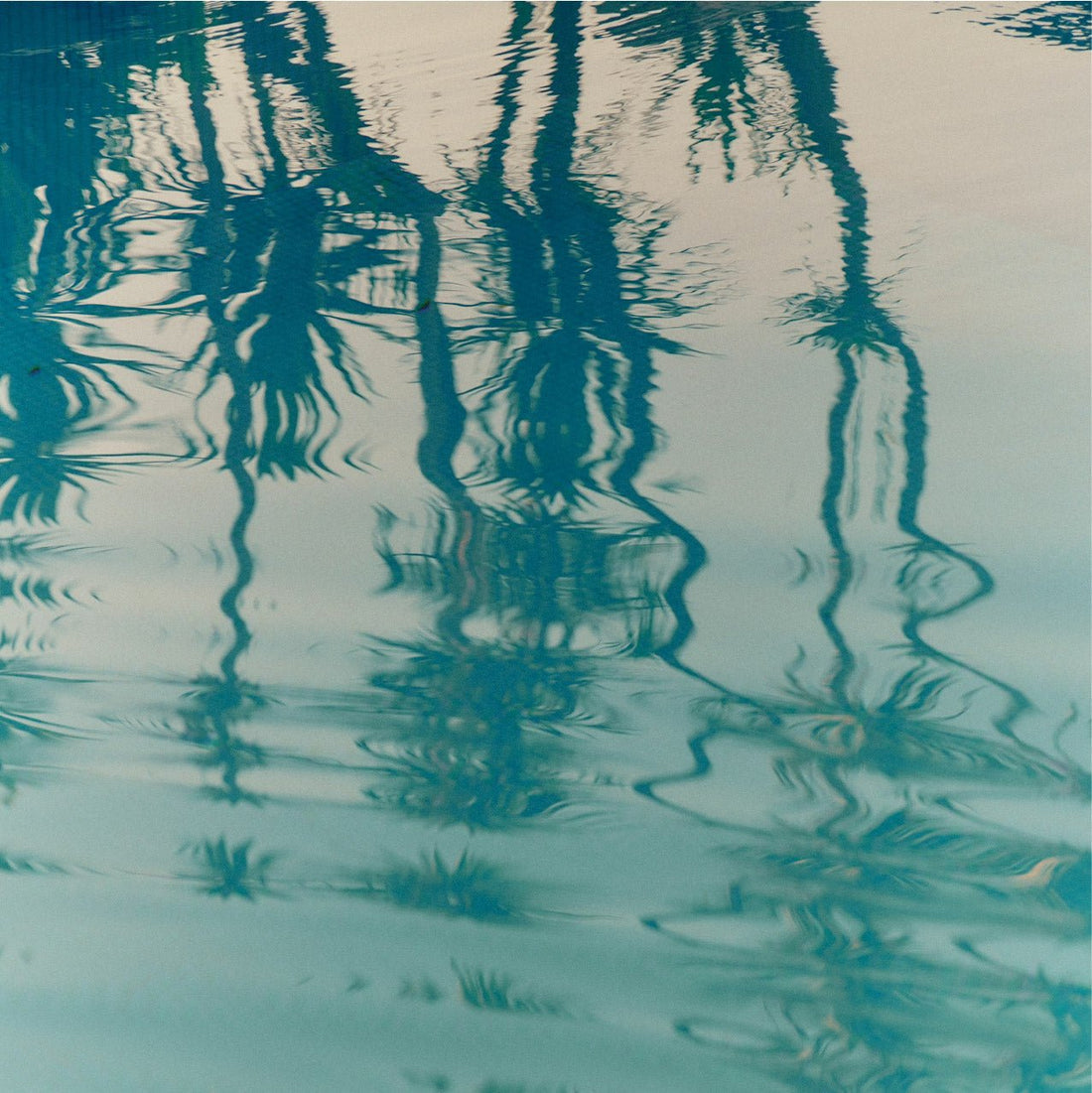 Mentally on a Beach: die Coast Angels Playlist für die Momente dazwischen